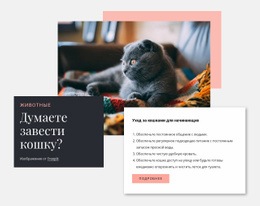 Потрясающий Веб-Дизайн Для Общий Уход За Кошкой