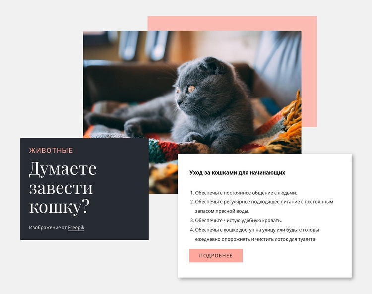Общий уход за кошкой Конструктор сайтов HTML