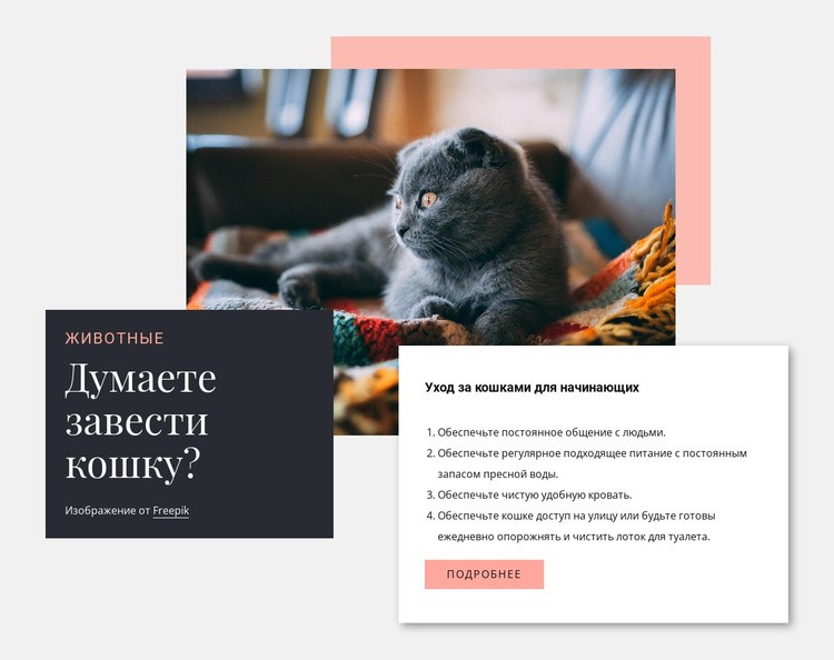 Общий уход за кошкой HTML5 шаблон