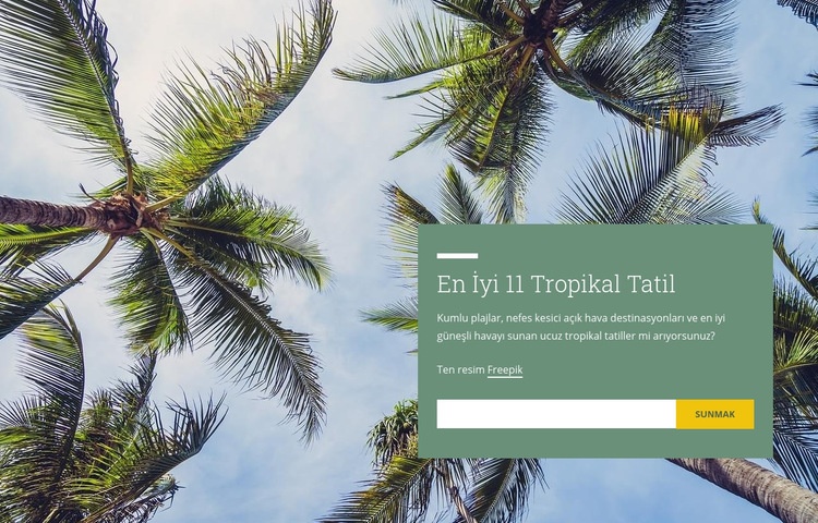 Tropikal tatiller Açılış sayfası