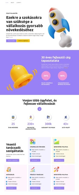 Vezető Tanácsadó Szolgáltatás - Egyszerű Webhelysablon