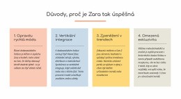 Textové Důvody Zara Úspěšný Design Webových Stránek