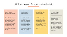 Text Gründe Zara Erfolgreich – Fertiges Website-Design