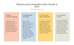 Texte Des Raisons Du Succès De Zara - Créateur De Site Web