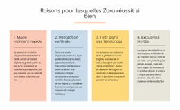 Texte Des Raisons Du Succès De Zara - Conception De Sites Web