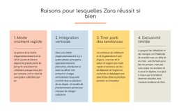 Texte Des Raisons Du Succès De Zara Modèle De Formulaire CSS