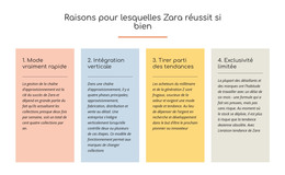 Texte Des Raisons Du Succès De Zara - Modèle HTML Et CSS