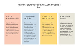 Texte Des Raisons Du Succès De Zara - Page De Destination