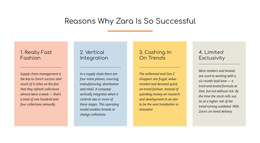 Text Reasons Zara Successful - Modern HTML5 Template