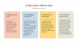 Szöveges Okok Zara Sikeres – Kész Webhelytéma