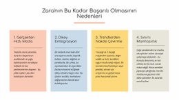 Metin Nedenleri Zara Başarılı - Çok Amaçlı Açılış Sayfası