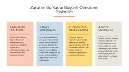 Metin Nedenleri Zara Başarılı CSS Form Şablonu