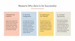 Text Reasons Zara Successful