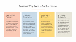 Text Reasons Zara Successful Website Design