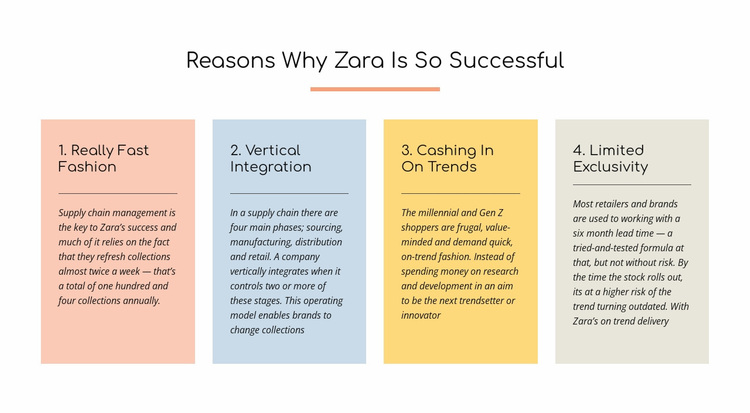 Text reasons zara successful Website Design