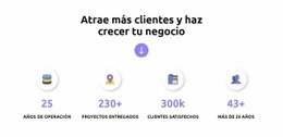 Financiar Ideas Valiosas - Creador De Sitios Web Profesional