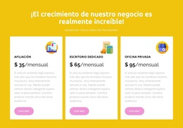 Años De Operación - Tema Definitivo De WordPress