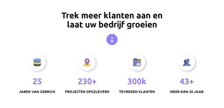 Financier waardevolle ideeën Website mockup