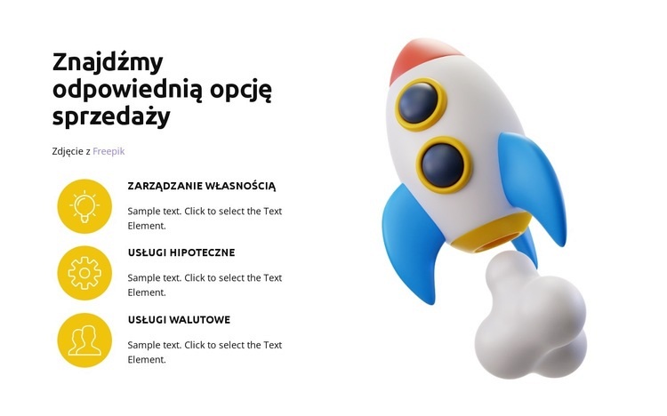 Dostarczone projekty Projekt strony internetowej