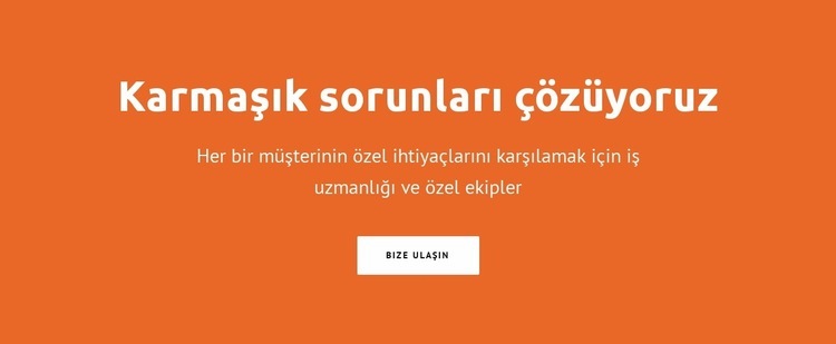 Karmaşık sorunları çözüyoruz Şablon