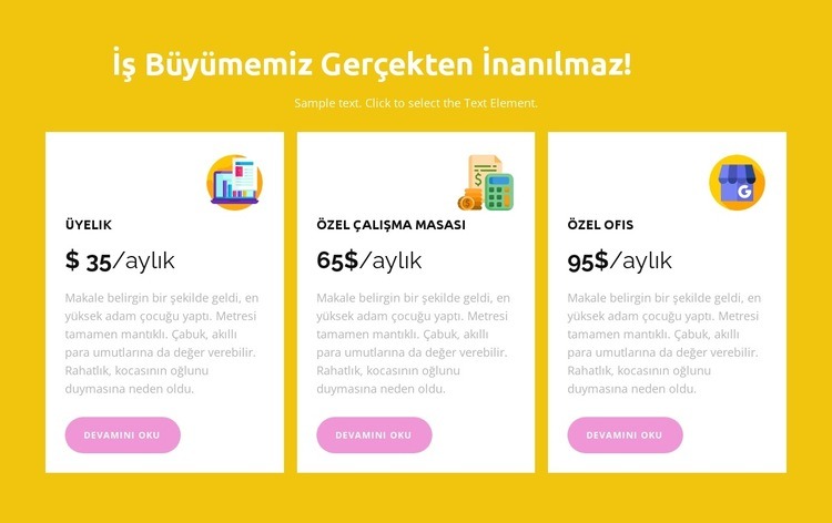 çalışma yılı Web Sitesi Mockup'ı