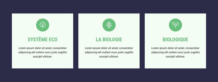 Écosystèmes énergétiques complexes Modèle d'une page