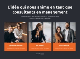 Les Consultants En Gestion Travaillent Avec Les Entreprises - Belle Conception De Site Web