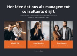 Prachtige Landingspagina Voor Management Consultants Werken Met Bedrijven