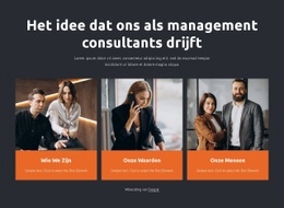 Management Consultants Werken Met Bedrijven - Persoonlijk Websitesjabloon