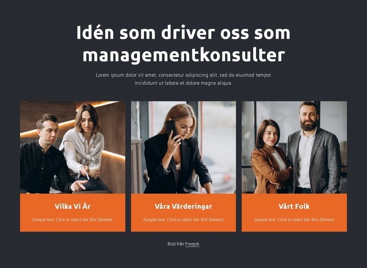 Managementkonsulter arbetar med företag HTML-mall