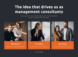 Management Consultants Work With Businesses - Free Web Page Design