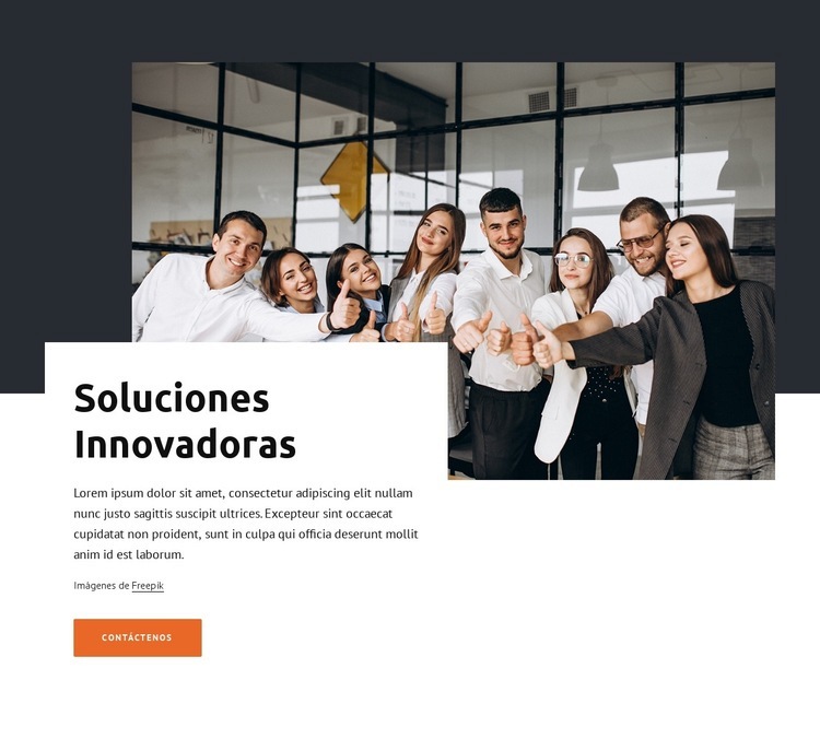 Consultoría boutique Diseño de páginas web