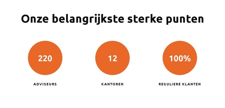 Onze belangrijkste sterke punten HTML-sjabloon