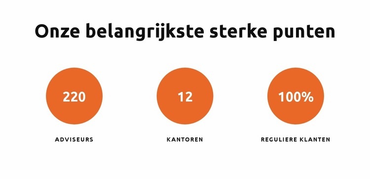 Onze belangrijkste sterke punten HTML5-sjabloon