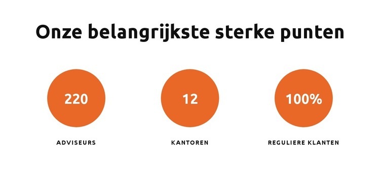 Onze belangrijkste sterke punten Sjabloon voor één pagina