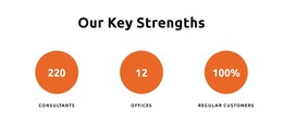 Our Key Strengths - Awesome WordPress Theme