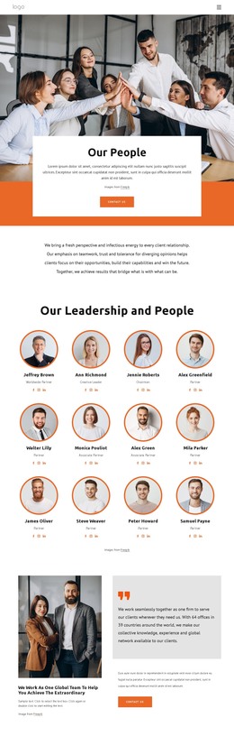 Premium WordPress Theme For Consulting Company Team