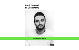 Vstupní Stránka Pro Talentovaný Vývojář