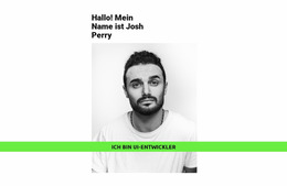 Talentierter Entwickler