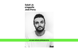 Page De Destination Pour Développeur Talentueux