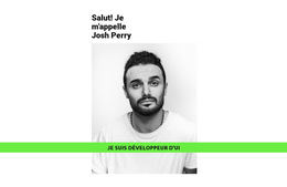 Développeur Talentueux