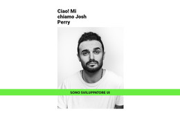 Pagina Di Destinazione Per Sviluppatore Di Talento