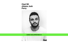 Il Tema WordPress Più Creativo Per Sviluppatore Di Talento