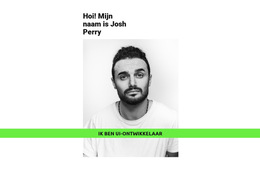 Getalenteerde Ontwikkelaar CSS-Sjabloon