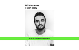 Desenvolvedor Talentoso - Modelo Para Adicionar Elementos À Página