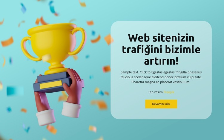 Danışman Geliştirme CSS Şablonu