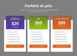 Conception De Site Web Premium Pour Des Plans Tarifaires Impressionnants