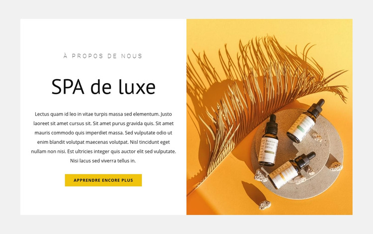 Spa de luxe haut de gamme Modèle HTML