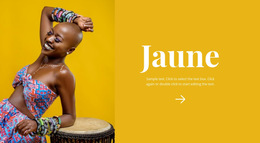 Style Africain Lumineux : Modèle De Site Web Simple