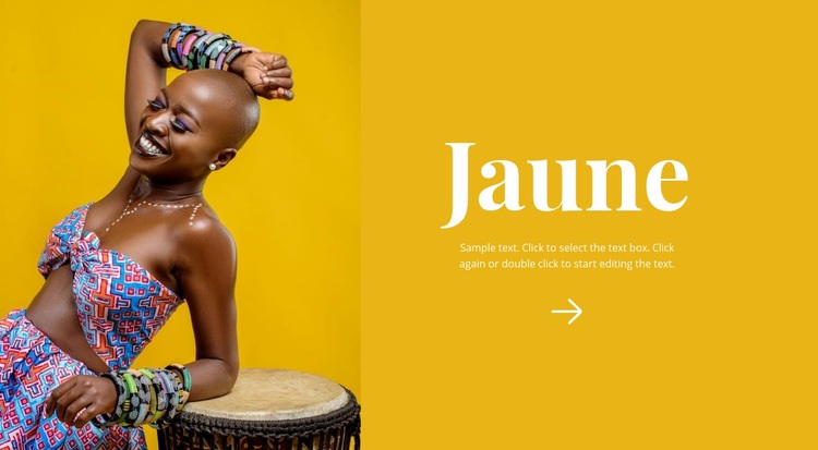 Style africain lumineux Page de destination